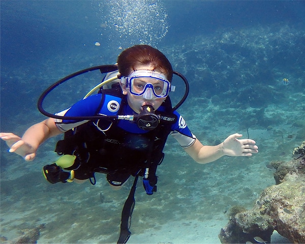 dolphin-ranger