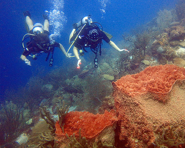 multilevel-diver