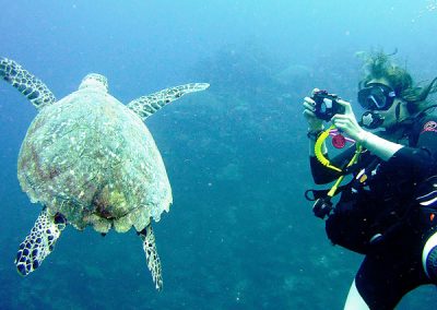 Underwater Photographer