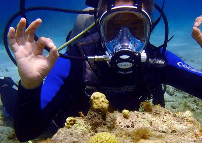 Full Face Mask Open Water Diver