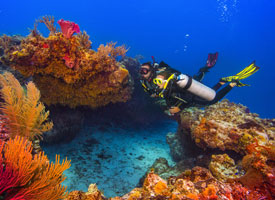 Ocean Explorer