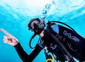 Open Water Instructor