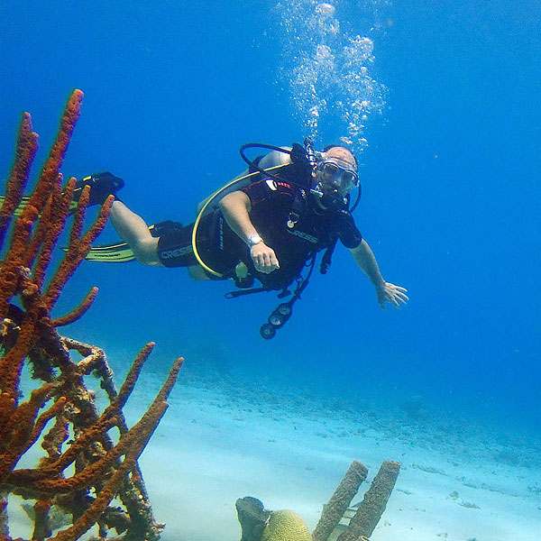 multilevel-diver