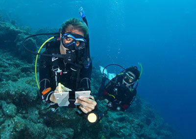 Deep Diver