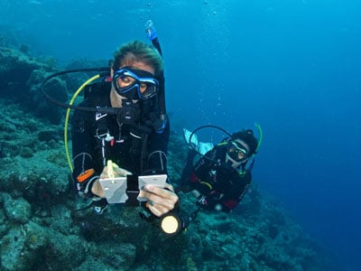 deep dive course