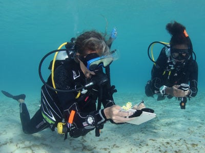 multilevel-diver