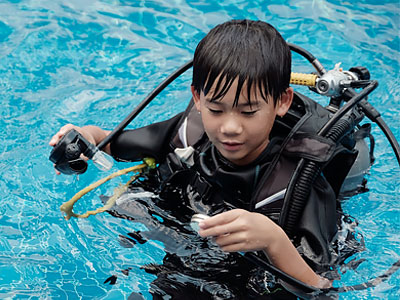 dolphin-ranger