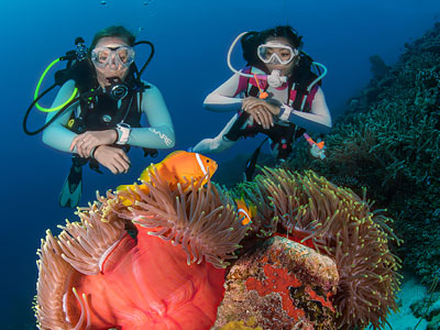 multilevel-diver