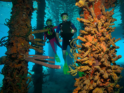 multilevel-diver