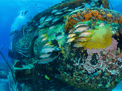 multilevel-diver