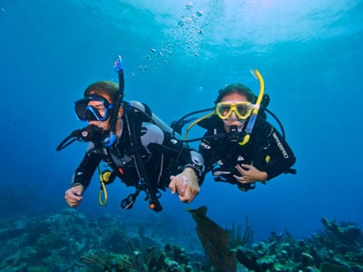 assistent-instructeur